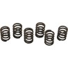 Clutch Spring Kit