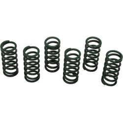 Clutch Spring Kit