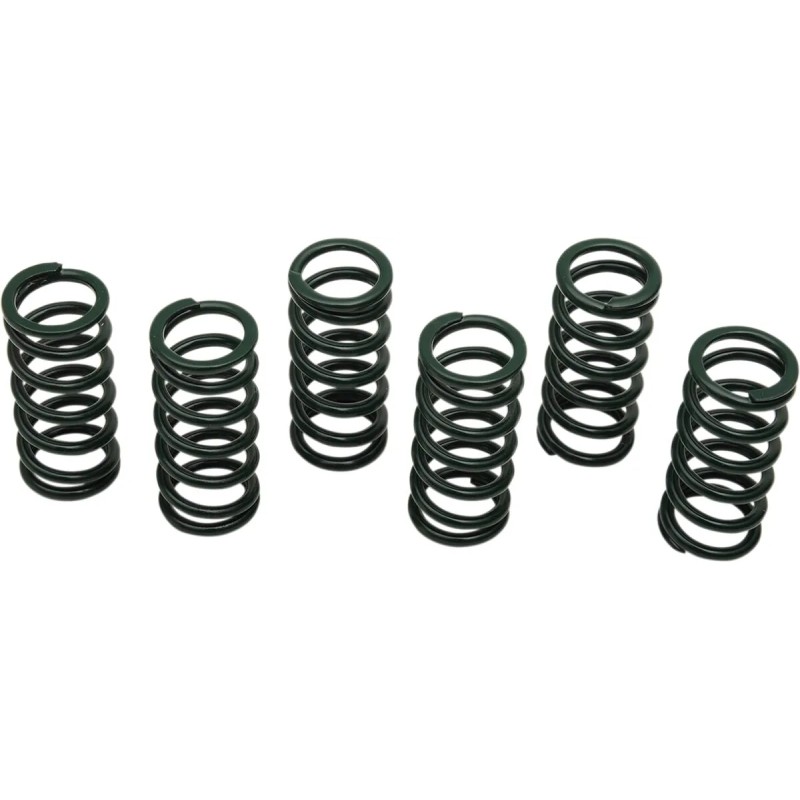 Clutch Spring Kit