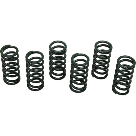 Clutch Spring Kit
