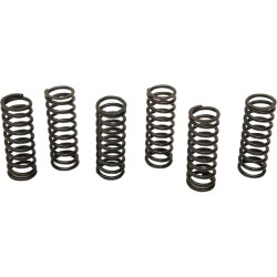 Clutch Spring Kit
