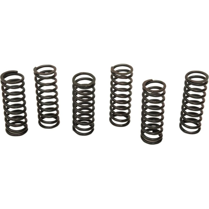 Clutch Spring Kit