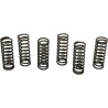 Clutch Spring Kit