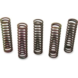 Clutch Spring Kit