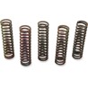 Clutch Spring Kit