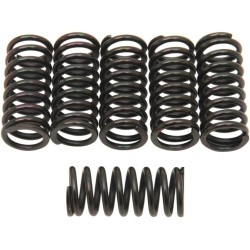 Clutch Spring Kit