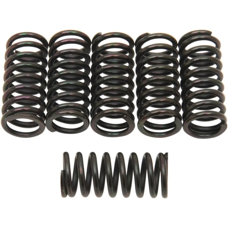 Clutch Spring Kit