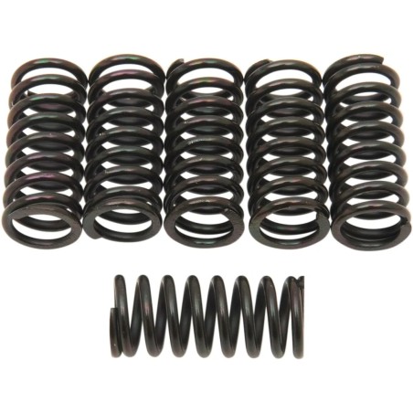 Clutch Spring Kit