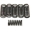 Clutch Spring Kit