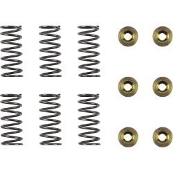 Clutch Spring Kit