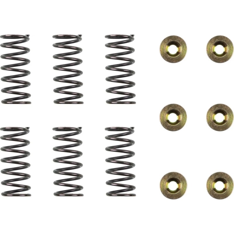 Clutch Spring Kit