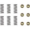 Clutch Spring Kit