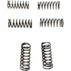 CSK Clutch Spring Set