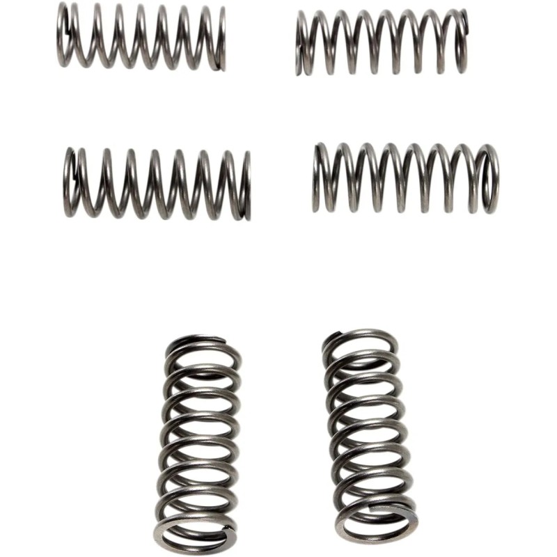 CSK Clutch Spring Set