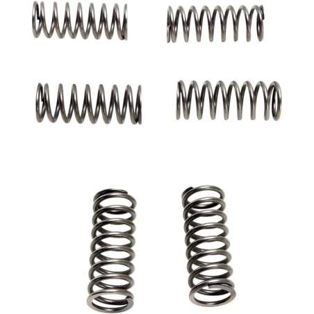 CSK Clutch Spring Set