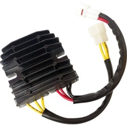 Régulateur redresseur Hot Shot compatible lithium-ion