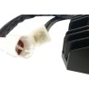 Régulateur redresseur Hot Shot compatible lithium-ion