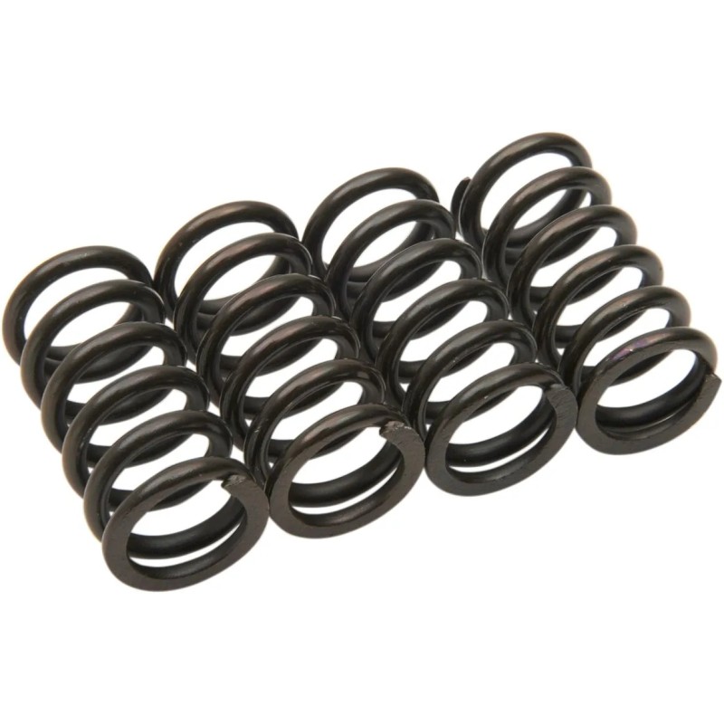 Clutch Spring Kit