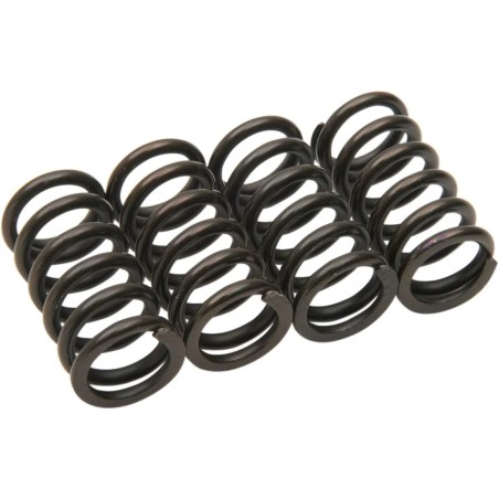 Clutch Spring Kit