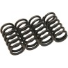 Clutch Spring Kit