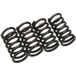 Clutch Spring Kit