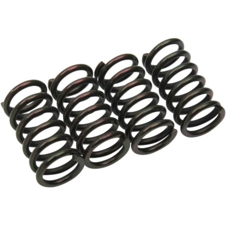 Clutch Spring Kit