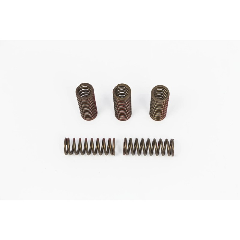Clutch Spring Set