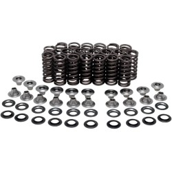 Valve Spring Kit