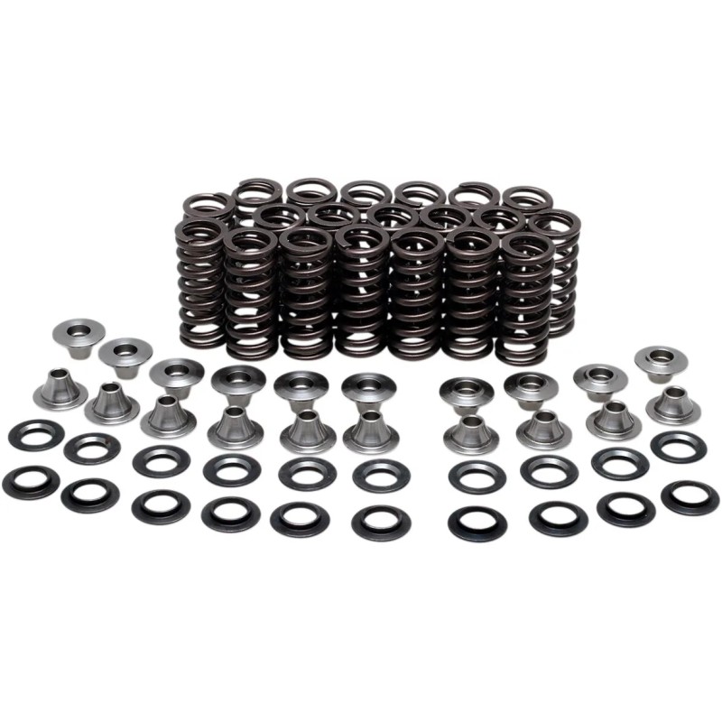 Valve Spring Kit