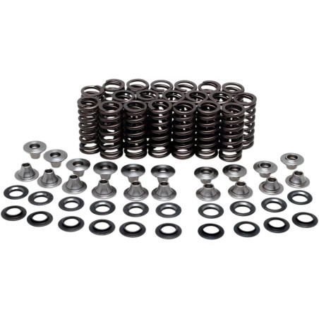 Valve Spring Kit