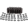 Valve Spring Kit