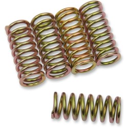 Clutch Spring Kit