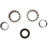 Crankshaft Bearing and Seal Kit