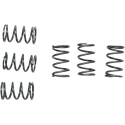 Clutch Springs