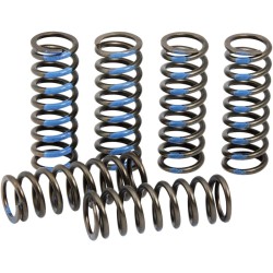 Clutch Spring Set