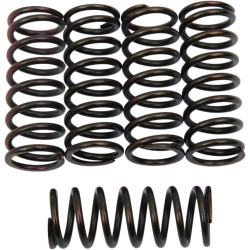 Clutch Spring Kit