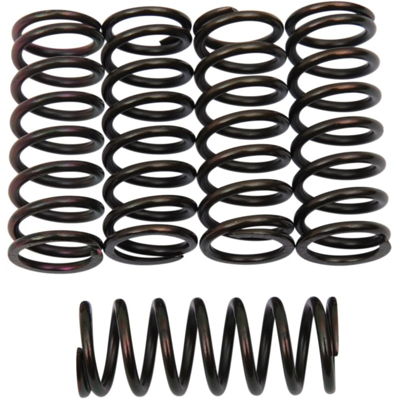 Clutch Spring Kit