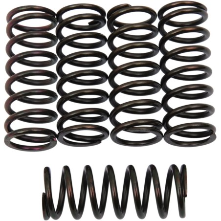 Clutch Spring Kit