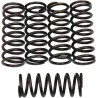 Clutch Spring Kit