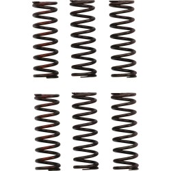 Clutch Spring Set