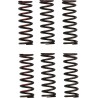 Clutch Spring Set