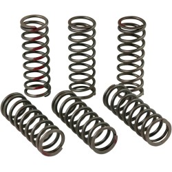 Clutch Spring Set