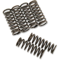 Clutch Spring Kit
