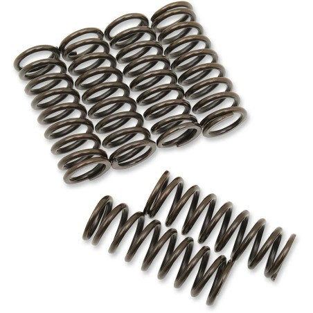 Clutch Spring Kit