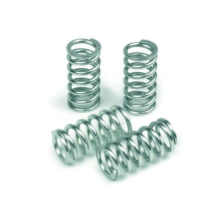 Clutch Spring Kit