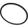 Severe Duty Drive Belt