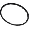 Severe Duty Drive Belt