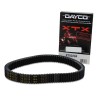 High-Performance Plus Drive Belts