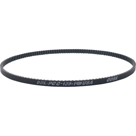 Rear Drive Belt