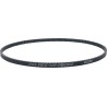 Rear Drive Belt